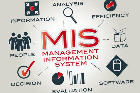 Management of Information Systems